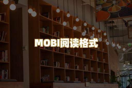 MOBI阅读格式